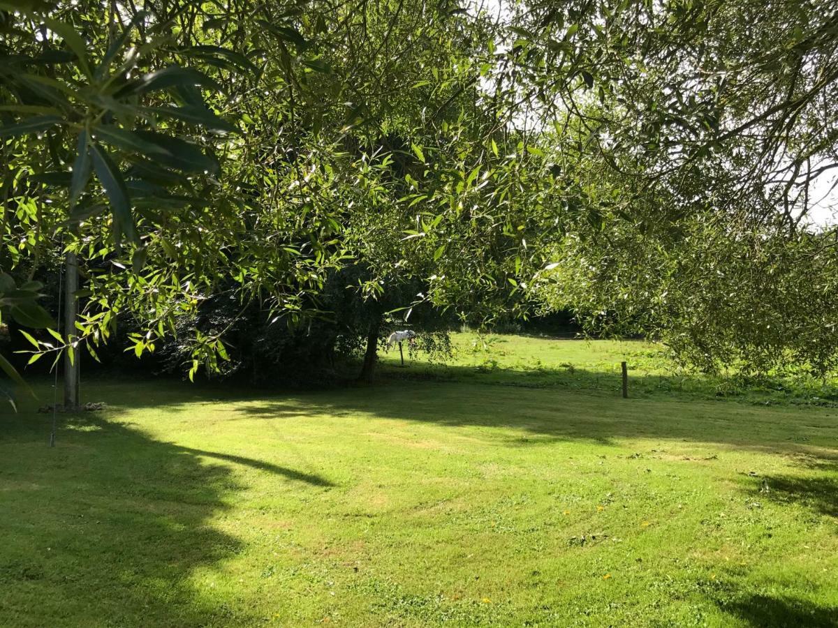 The Mews Villa Freshford Exteriör bild